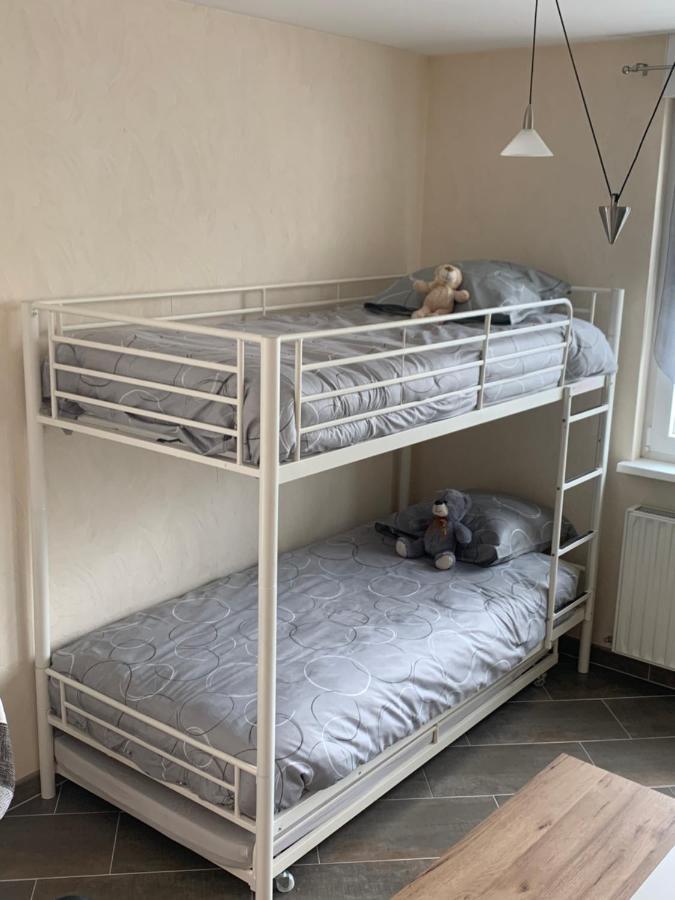 Le Meuble De Naya Apartment Saulcy-sur-Meurthe Ngoại thất bức ảnh